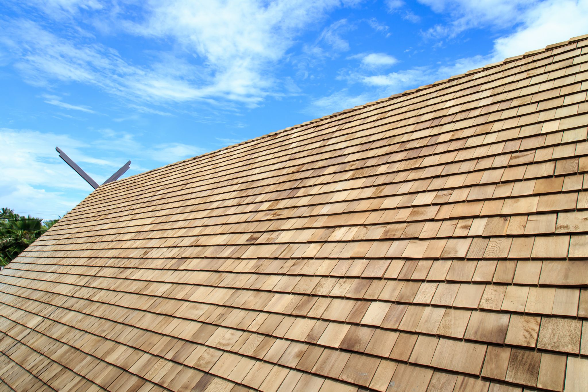 Cedar Roof
